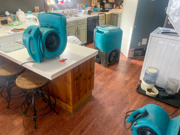 Best Water damage restoration near me  in Suffield Depot, CT