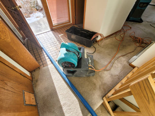 Best Water damage restoration insurance claims  in Suffield Depot, CT