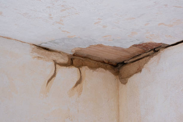 Best Professional water damage repair  in Suffield Depot, CT