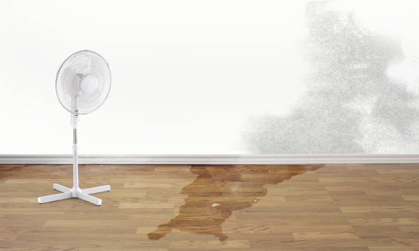Best Sewage cleanup and water damage restoration  in Suffield Depot, CT
