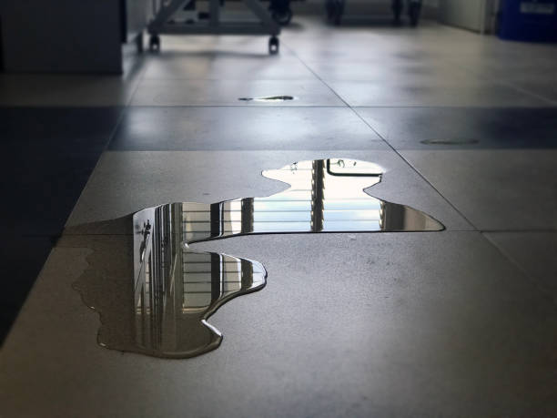 Best Commercial water damage restoration  in Suffield Depot, CT