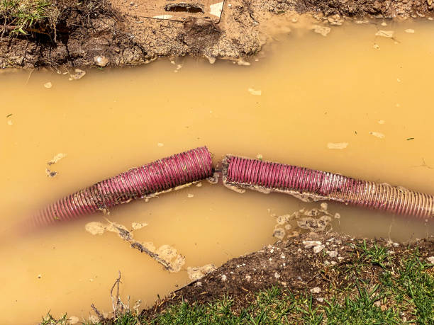 Reliable Suffield Depot, CT Water damage restoration Solutions